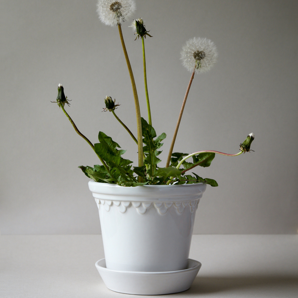 Bergs Potter Copenhagen glazed pot white, CHOOSE SIZE
