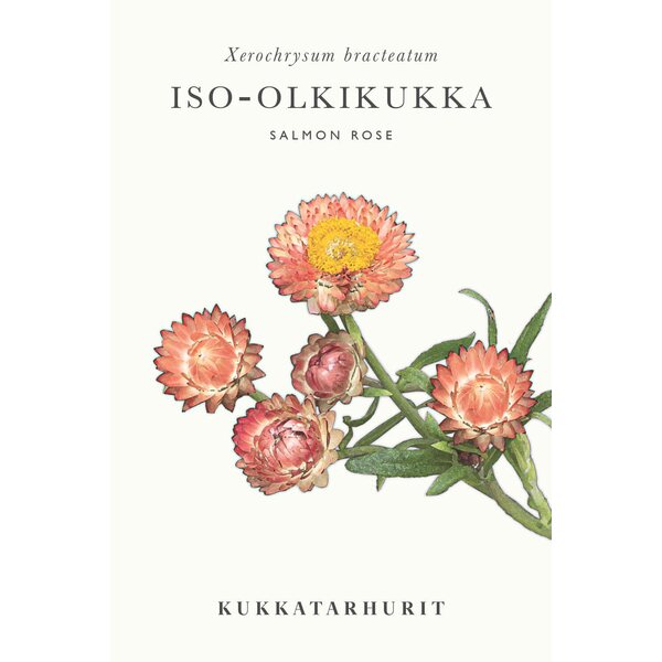 Kukkatarhurit Iso-olkikukka Salmon Rose