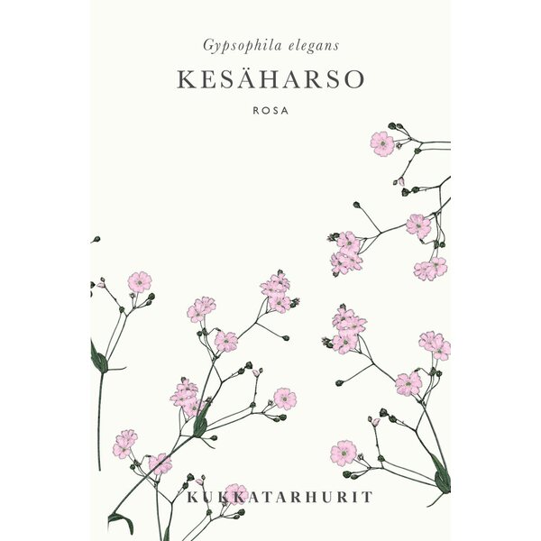 Kukkatarhurit Kesäharso Rosa
