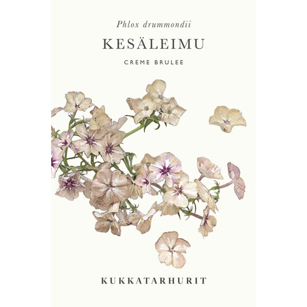 Kukkatarhurit Kesäleimu Creme Brulee