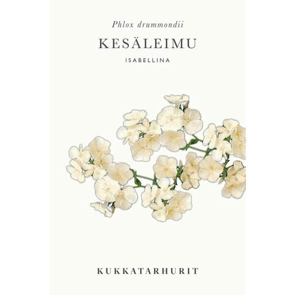 Kukkatarhurit Kesäleimu Isabellina
