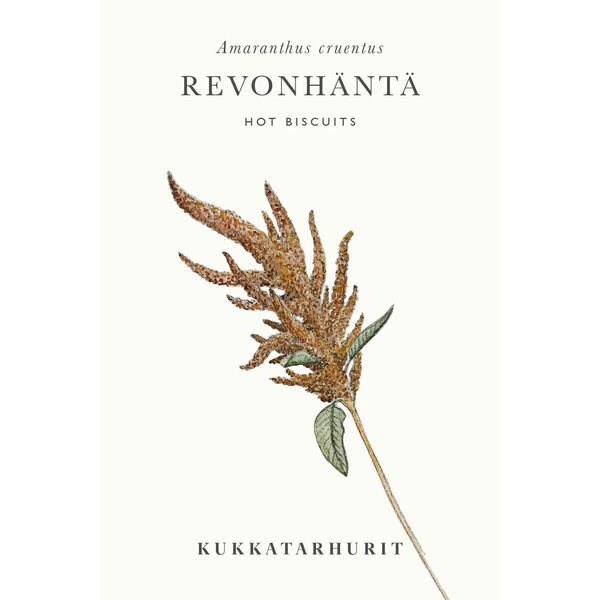 Kukkatarhurit Revonhäntä Hot Biscuits