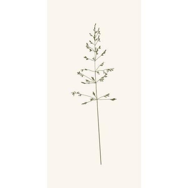 Ib Laursen Autumn grass servetit 16 kpl/pkt 40 x 40 cm