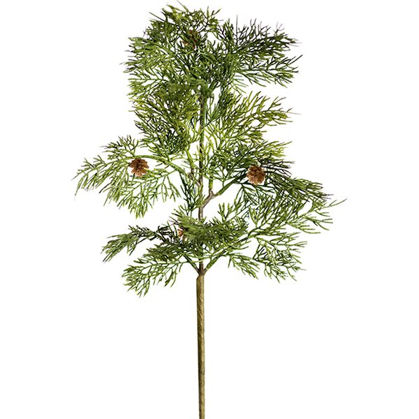 Mr Plant Sypressi 55 cm
