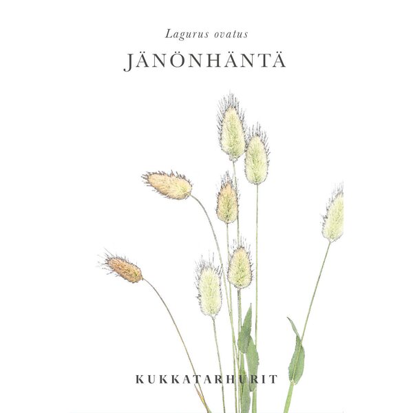 Kukkatarhurit Jänönhäntä, heinä