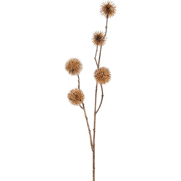 Mr Plant Plataani beige 65 cm