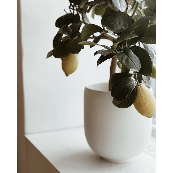 Ernst pot natural white CHOOSE SIZE