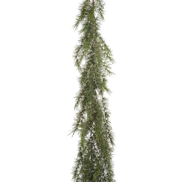 Mr Plant havuköynnös 180 cm