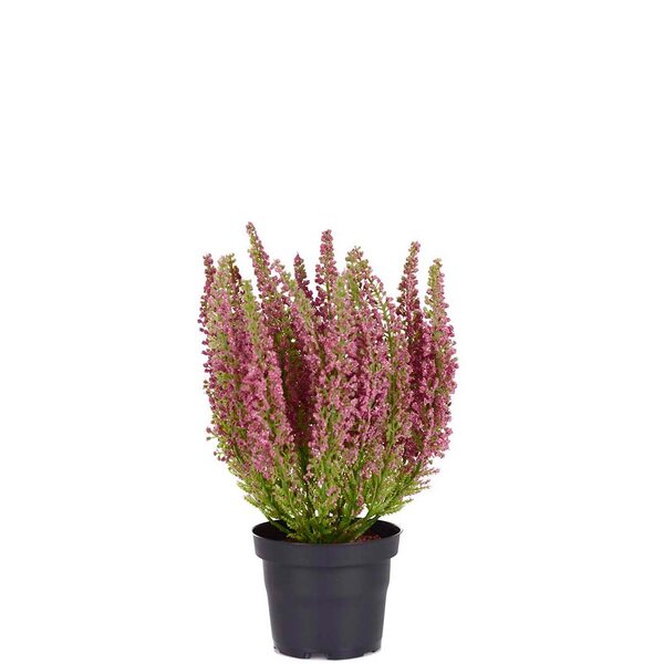 Mr Plant Kanerva 28 cm, punainen