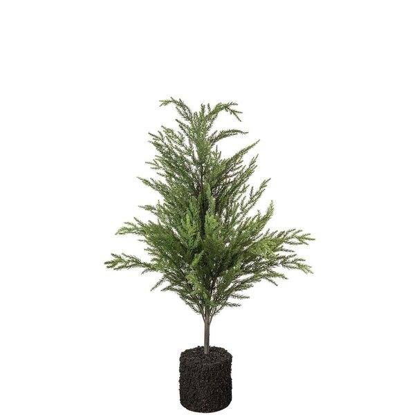 Mr Plant Havupuu 105 cm