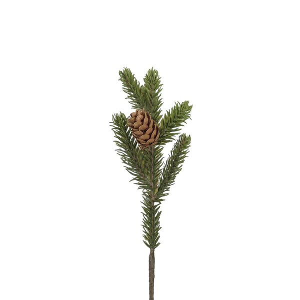 Mr Plant kuusenoksa kävyllä 21 cm