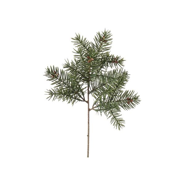 Mr Plant Havunoksa 30 cm
