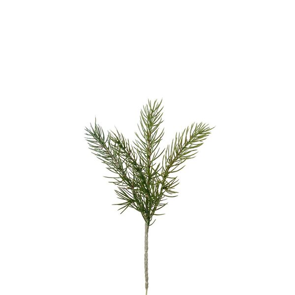 Mr Plant Havunoksa 30 cm