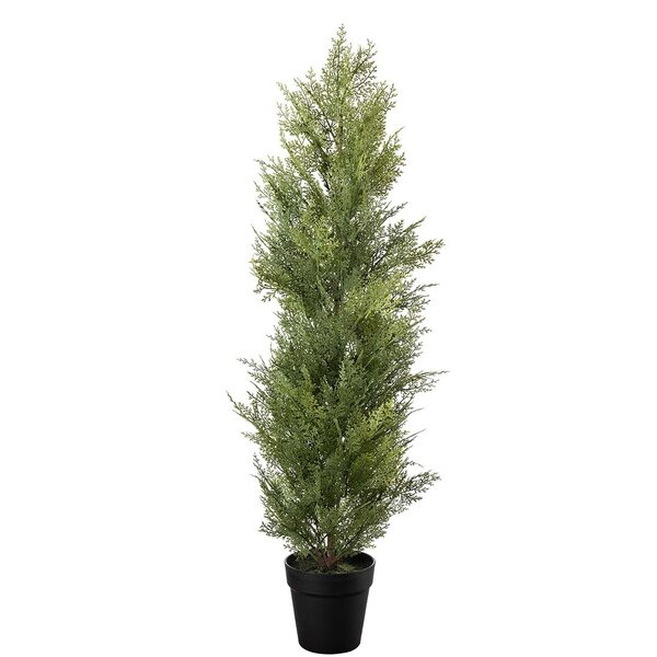 Mr Plant Sypressi 95 cm