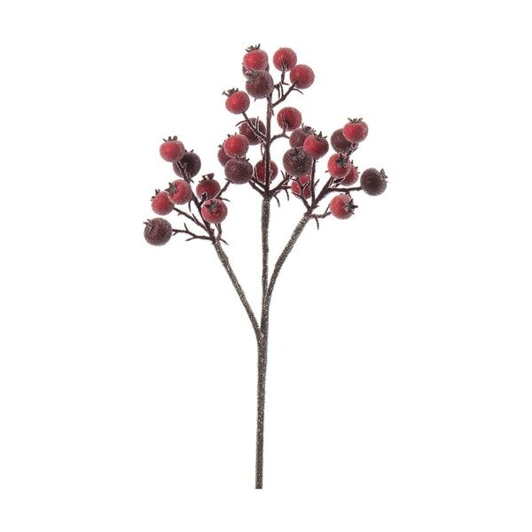 Mr Plant Huurteinen ruusunmarjaoksa 38 cm