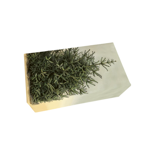 Sköna Ting Bar soap 200 g, Fir tree