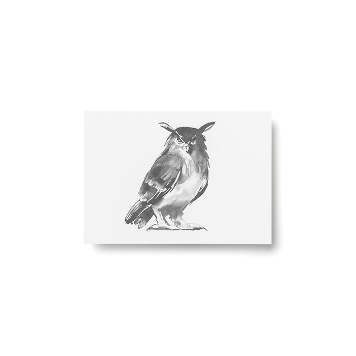 Teemu Järvi Owl postcard