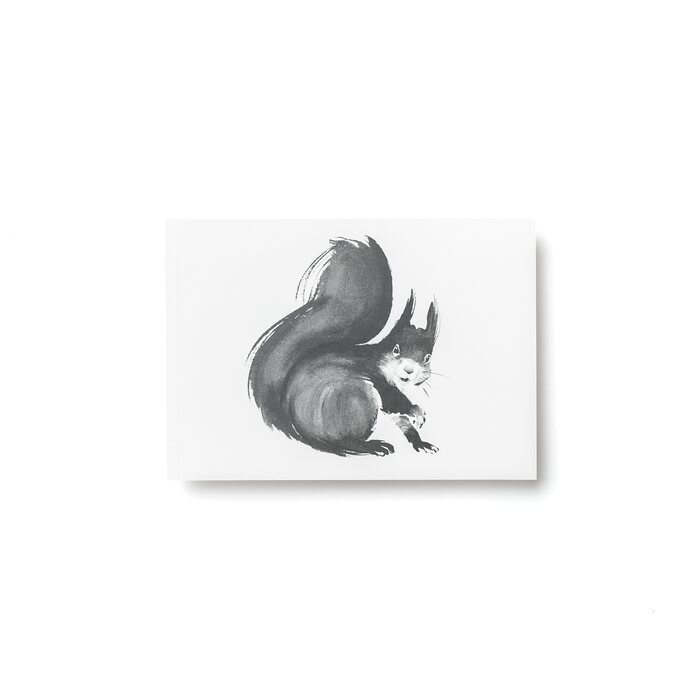 Teemu Järvi Squirrel postcard