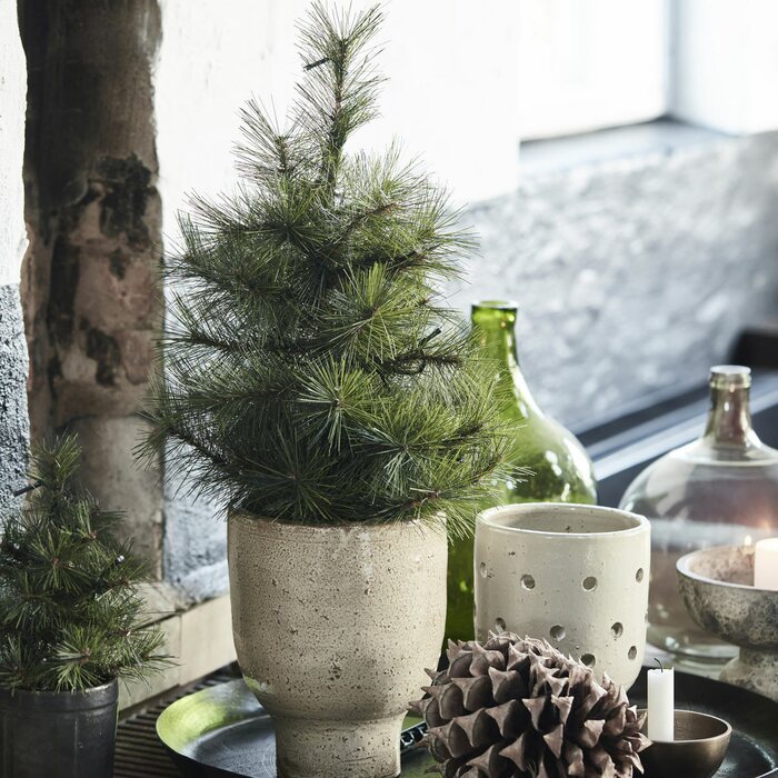 House Doctor Pinus Christmas Tree, 30 cm