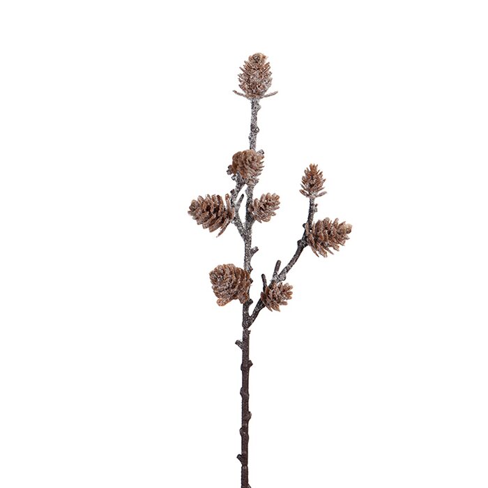 Mr Plant Käpyoksa 28 cm