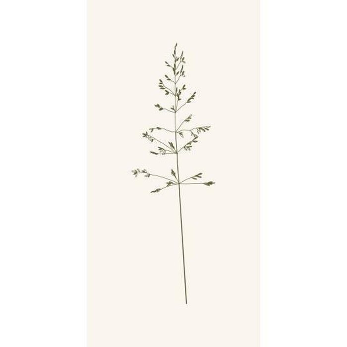 Ib Laursen Autumn grass napkin 16 pcs/pkt 40 x 40 cm