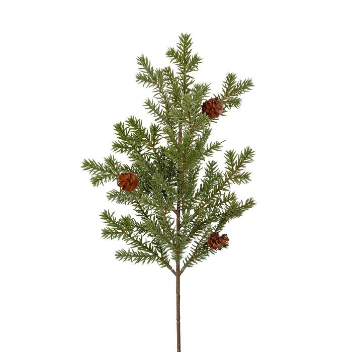 Mr Plant kuusenoksa kävyillä 50 cm