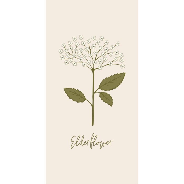 Ib Laursen Elderflower napkin 16 pcs/pkt 40 x 40 cm