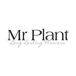 Mr Plant