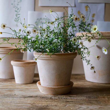 Indoor gardening